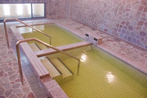 Image result for Onsen Types