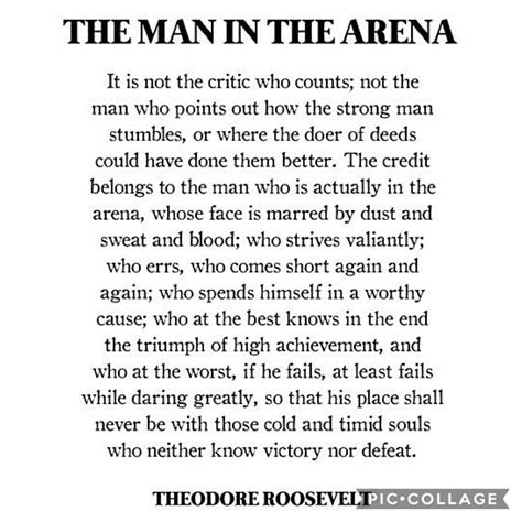 The Man in the Arena Poem by Theodore Roslevit