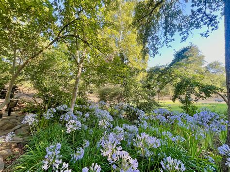 Jensen Botanical Garden - Carmichael Recreation and Park District