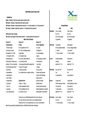 2800 Calorie Meal Plan Pdf - Fill Online, Printable, Fillable, Blank ...