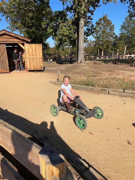 Classic Annie.: Hall Family Farm