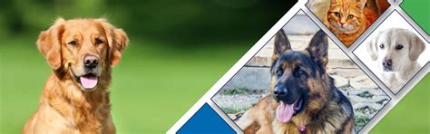 Petcare Products | Provimi