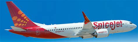 Image result for SpiceJet Big