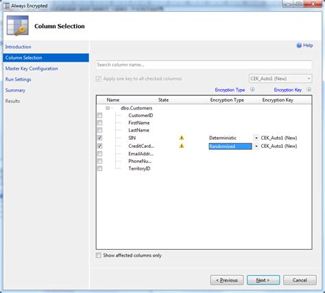 SQL Always Encrypted Retrieve Encrypted Column 的图像结果
