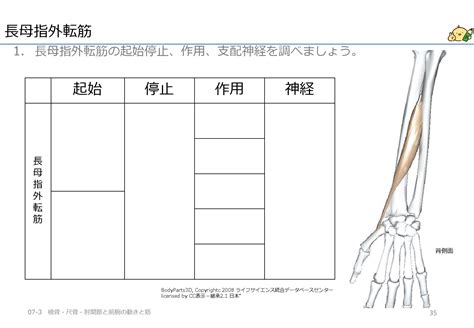 Image result for JavaScript Snake World Record