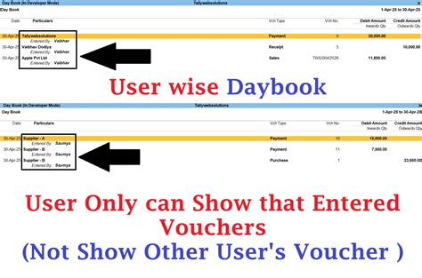 TDL Source Code of User wise Daybook - Advance Security (Quick Download ...