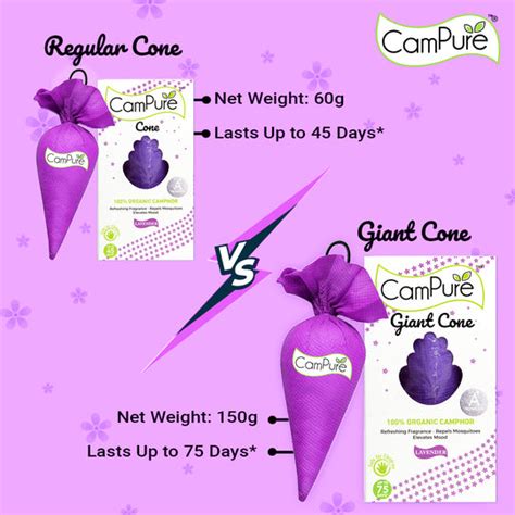 Giant Cone – House of Mangalam