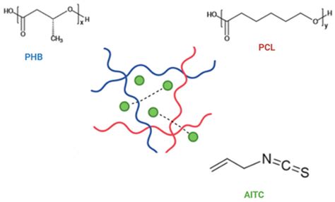 Fabrication and Characterization of Poly(hydroxybutyrate)- and Poly ...