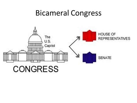 How many states have bicameral legislatures? States having two tier ...