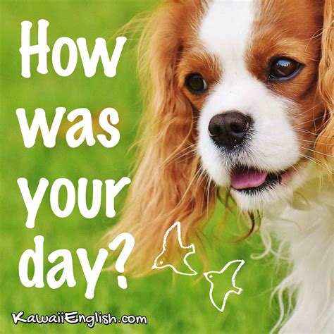 How was your day? | Kawaii English