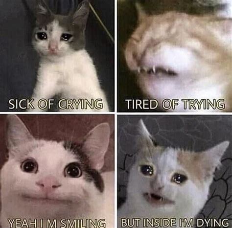 70 White Cat Smile Meme