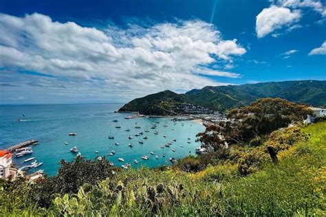 Catalina Island for Everyone