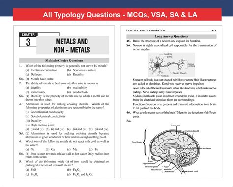 Disha TopperX New Syllabus Chapter-wise NCERT Exemplar for Class 10 ...