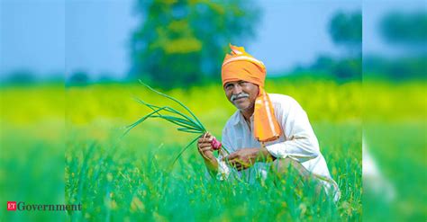 PM Fasal Bima Yojana enrolment increases by 27% in current year so far ...