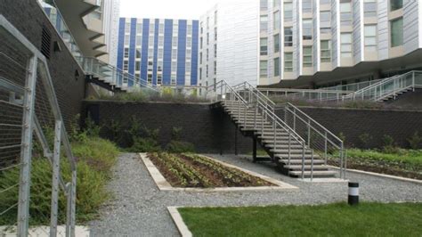 Mercer Court Apartments - University of Washington - Mutual Materials