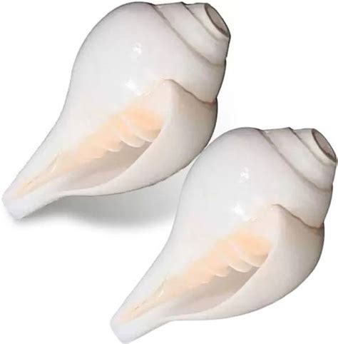 Shankh - Buy Shankh Online at Best Prices In India | Flipkart.com