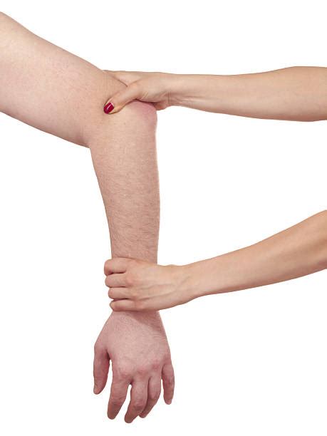 Scapula Stretching 的图像结果