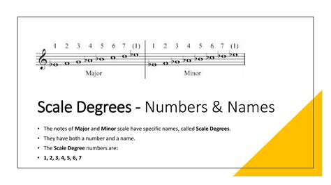 Scales & Scale Degrees | PPTX