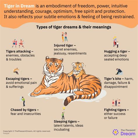 Tiger in Dream - Does It Suggests Power, Pride, And Authority?