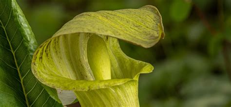 Home Page | ACRES Land Trust