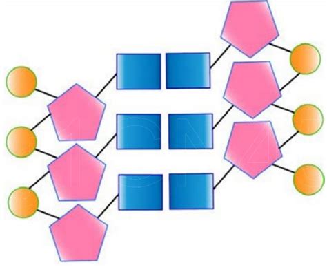 DNA Label 的图像结果
