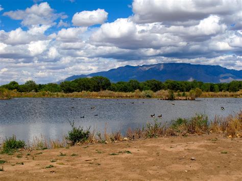 Fun Parks to Visit in the Top 10 Cities for Wildlife - The National ...