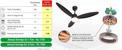 Buy DIGISMART Autum Mark 1 1200mm BLDC 3 Blade Ceiling Fan with Remote ...