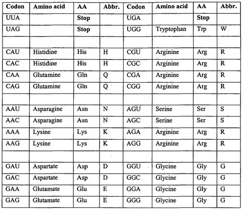 Amino Acid Sequence Chart