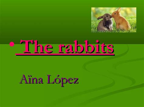 The rabbits / Presentacion de los conejos en ingles | PPT