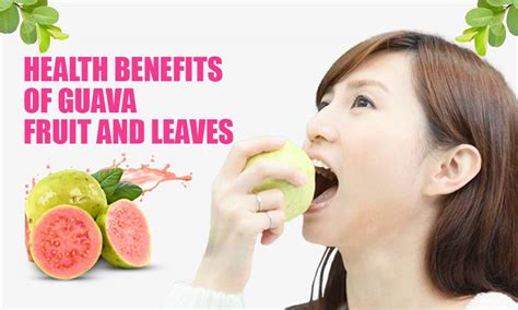 Here are Six Top Health Benefits of Guava Fruits and Leaves