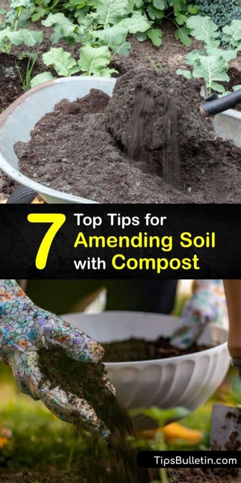 Compost/Soil 的图像结果