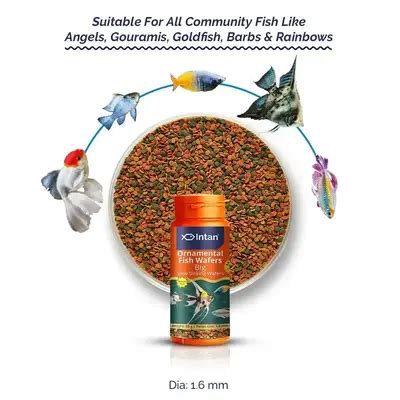 Buy Intan Ornamental Fish Wafers online at best price BIG