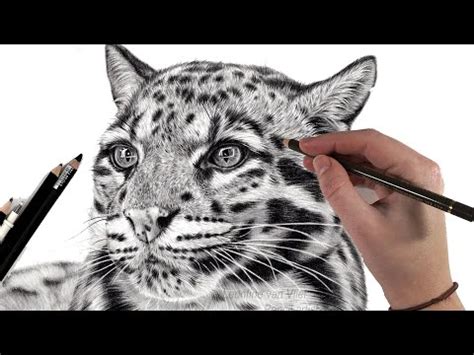 Image result for Leopard Print Tutorial
