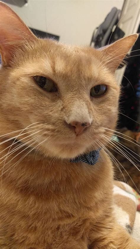 Image result for Repo Side Eye