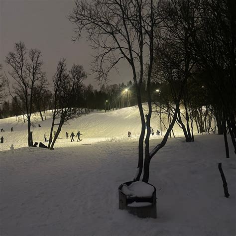 ARCTIC FUN TROMSØ (2026) All You Need to Know BEFORE You Go (with ...