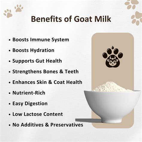 Goat Milk Powder for Dogs and Cats | Pure Paws