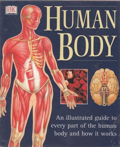 Buy Human Body Book Online at Low Prices in India | Human Body Reviews ...