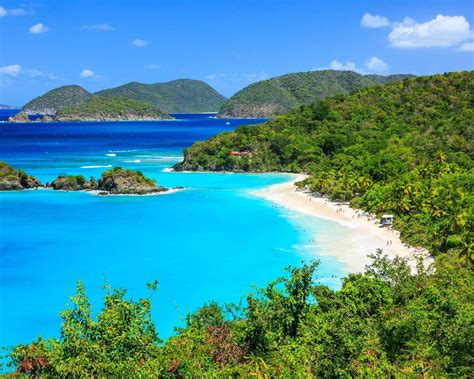 Image result for How Check Passport Status