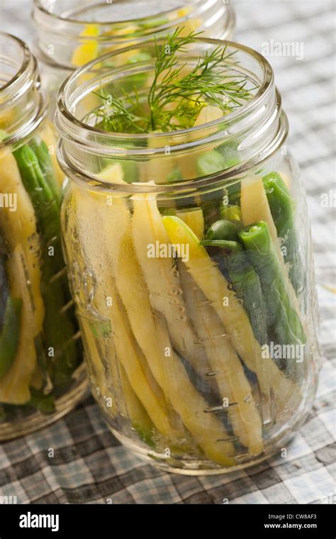 Canning String Beans Recipe 的图像结果