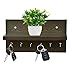 Anikaa Volt Wooden Key Holder/Key Hold/Wall Mounted Key Holder/Wall ...
