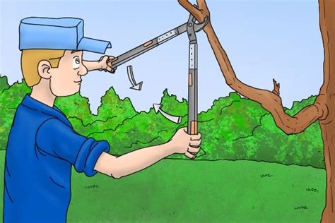 How to Use Loppers 的图像结果