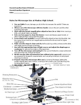 Image result for Introduction to Microscope Lab