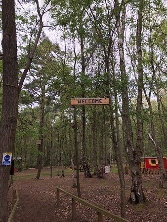 Wild Pines Park (Market Rasen) - 2022 What to Know Before You Go (with ...