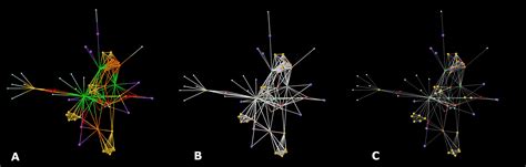 3D Networks 的图像结果