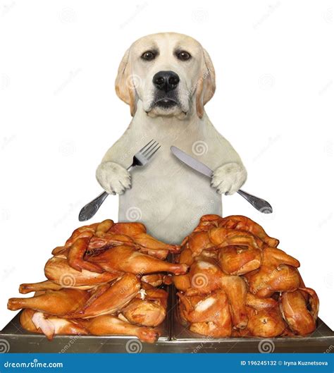 Can You Give A Dog A Chicken Leg Bone at Joannie Adams blog