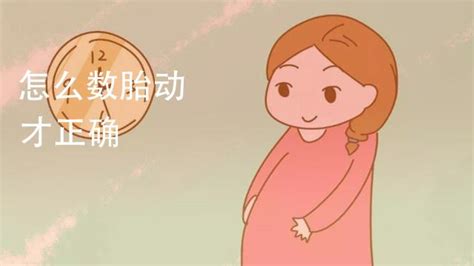 十月怀胎有多辛苦，10张图带你了解“孕育全过程”，生命好神奇-搜狐大视野-搜狐新闻
