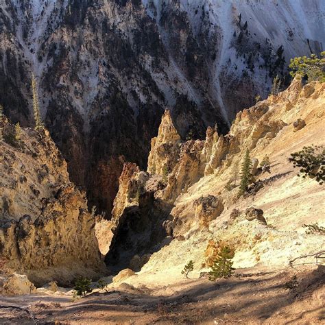 Ribbon Lake Trail (Yellowstone National Park) - 2021 What to Know ...