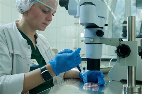 Московская ветакадемия с 2025 года начнет готовить интернов по ...