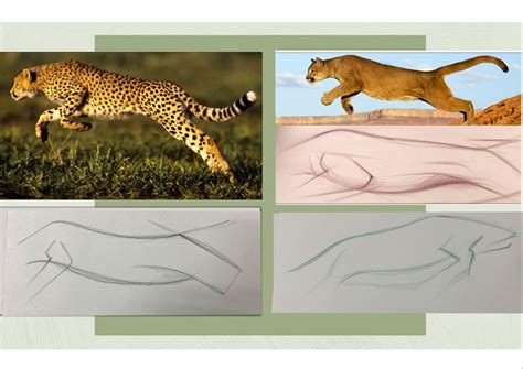 Leg Split Tutorial 的图像结果