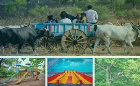 Contact: +91 9689125047 | Anand Krushi Paryatan | One Day Trip Near ...